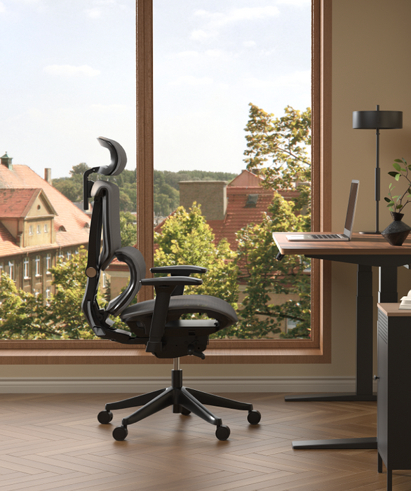 Flexispot C7 Ergonomic Mesh Back Executive Chairs Recliner High Quality Manager Mesh Office Chair