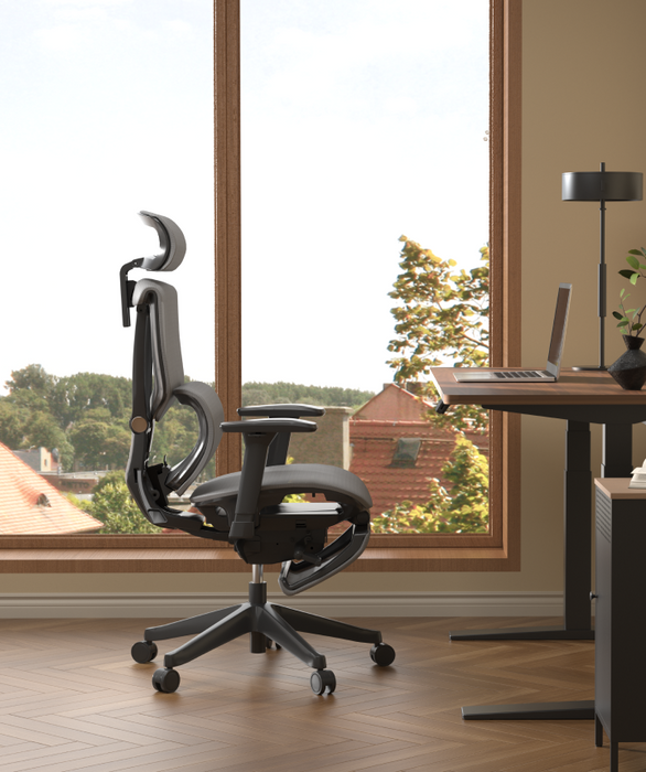 Flexispot C7 Ergonomic Mesh Back Executive Chairs Recliner High Quality Manager Mesh Office Chair