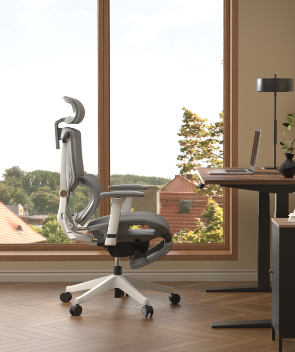 Flexispot C7 Ergonomic Mesh Back Executive Chairs Recliner High Quality Manager Mesh Office Chair