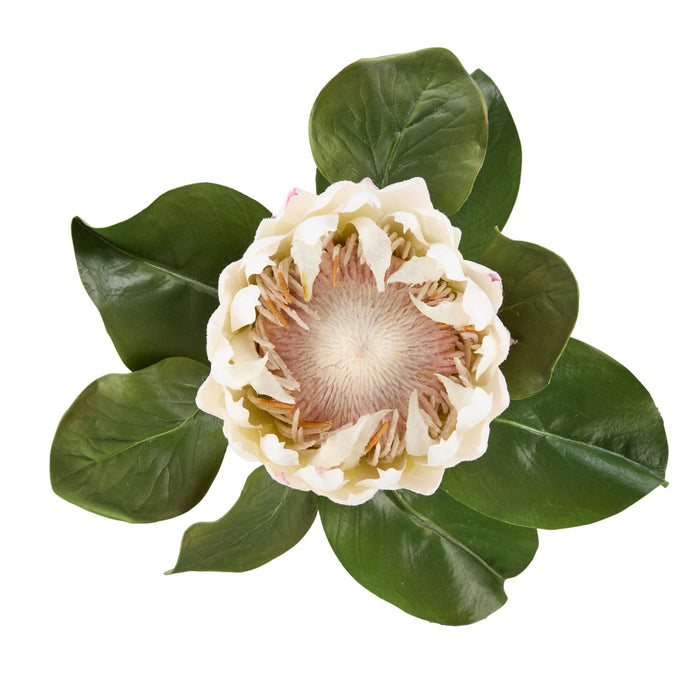 NSIMG-SHA256:2e75af5b8df8c080ee48caba8429fb6630dd34cfd39e7e0f4e1097bbeeeffe3d · Isalbi Rogue Grand Protea Stem White