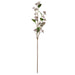 NSIMG-SHA256:df3870737d54e93019d1e8923c70428f9d19daeabcf8903083234bffd204dba0 · Isalbi Rogue Dewberry Spray Purple