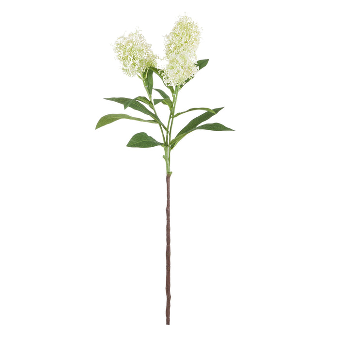 NSIMG-SHA256:dc8622fedec161e1b4300a1f266454c5e993979df1a35dfcddc817424e6dc700 · Isalbi Rogue Skimmia Spray Cream