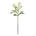 NSIMG-SHA256:dc8622fedec161e1b4300a1f266454c5e993979df1a35dfcddc817424e6dc700 · Isalbi Rogue Skimmia Spray Cream