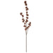 NSIMG-SHA256:91f101788d6cee4419b0d22dd872d5c66f10dd23fd76fada27b377f917b3b4f0 · Isalbi Rogue Deco Witch Hazel Spray Brown