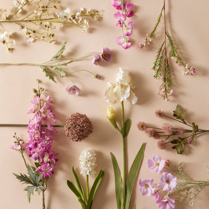NSIMG-SHA256:6c40b0ee26c807a2eb2832fcf68944c0bf919fdb0a137e252f5b5fa060c9d3d0 · Isalbi Rogue Dancing Orchid Spray White