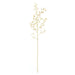 NSIMG-SHA256:16739245f031ef9d1d7affd479122a7f269ebc2dadaafc1c9d635a6f638f7046 · Isalbi Rogue Dancing Orchid Spray White