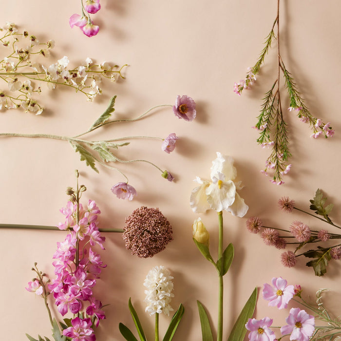 NSIMG-SHA256:852aae418f351dffef9f8dfbed4d569b797aaf514c058b3194b50c8c394a1988 · Isalbi Rogue Dancing Orchid Spray White