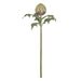 NSIMG-SHA256:d2d9e7591751aad3de4607af57ca7243f428fbf563f9cd5e5e94d1efa913274f · Isalbi Rogue Artichoke Stem Purple