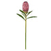 NSIMG-SHA256:4da19dd5cb9aaea2a09201a7ff79a0eab6a5ef99b8af523862848c6c473d6d39 · Isalbi Rogue Protea Stem Burgundy