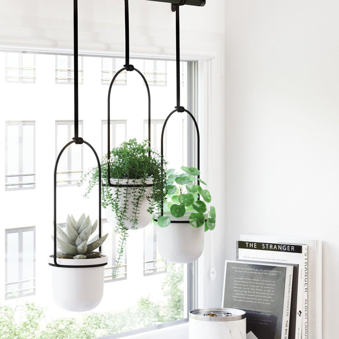 NSIMG-SHA256:2cf89ee8f90b9556ebb422505ef721e2d52ddfbefdd6b8b473326d9dffc101c8 · Isalbi Umbra Triflora Hanging Planter White & Black