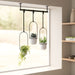 NSIMG-SHA256:ebb8a7f434eeacd0bad865b06239ff8cefd2408df911c3325f97edcc3ca3a56b · Isalbi Umbra Triflora Hanging Planter White & Black