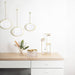 NSIMG-SHA256:7d0ecaaaa50ca9834dcc4335756bc893dd0a974df566d9af03fa8540928dc664 · Isalbi Umbra Tesora Jewellery Stand Glass & Brass
