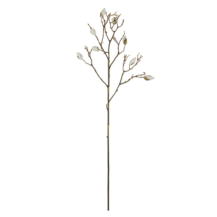 NSIMG-SHA256:c57400718ff84d8db81e1c0d7c169bbf7b4b695664a6f663638f1fbbbce02550 · Isalbi Rogue Magnolia Bud Branch Cream