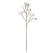 NSIMG-SHA256:c57400718ff84d8db81e1c0d7c169bbf7b4b695664a6f663638f1fbbbce02550 · Isalbi Rogue Magnolia Bud Branch Cream