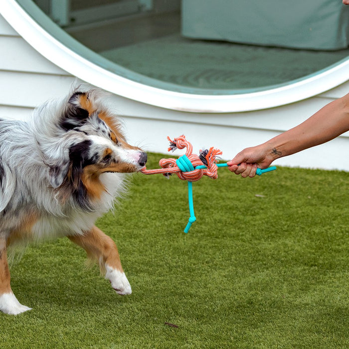 Paws & Claws STRETCH & FETCH TPR + BRAIDED ROPE BALL 30X8X1.5CM 185G