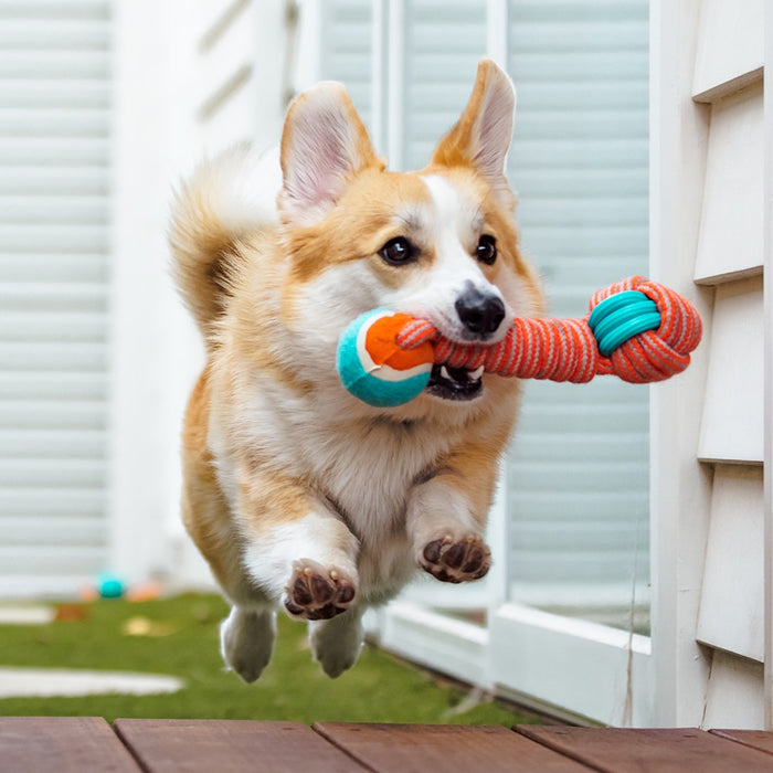 Paws & Claws STRETCH & FETCH TPR + BRAIDED ROPE BALL BONE W/ TENNIS BALL 25X7.5X7.5CM