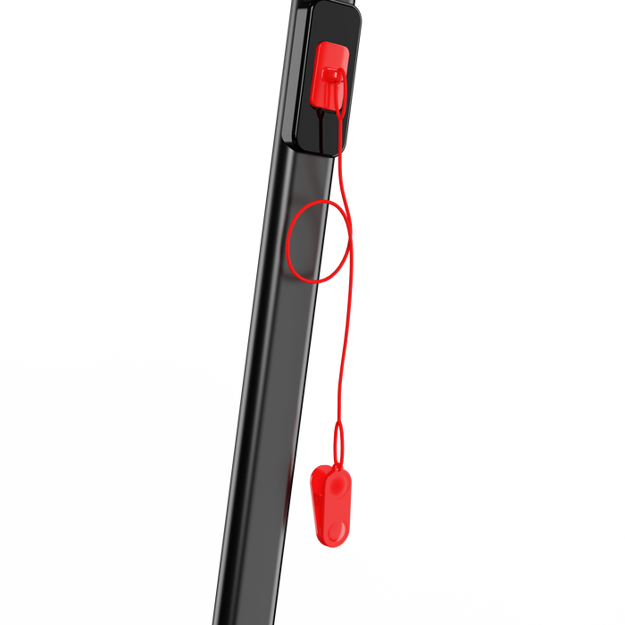 Flexispot 2-in-1 Walking Treadmill Walking Pad