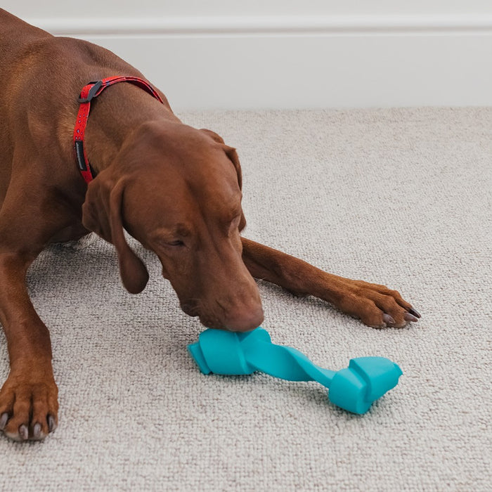 Paws & Claws DENTA CHEWS FLAT TWIST BONE TOY 13.7X4.6X3.6CM
