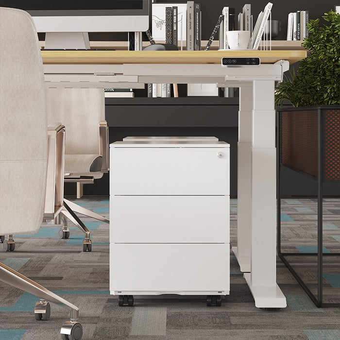 Flexispot RC2 Storage Cabinet: Secure, Smart Storage for Every Space