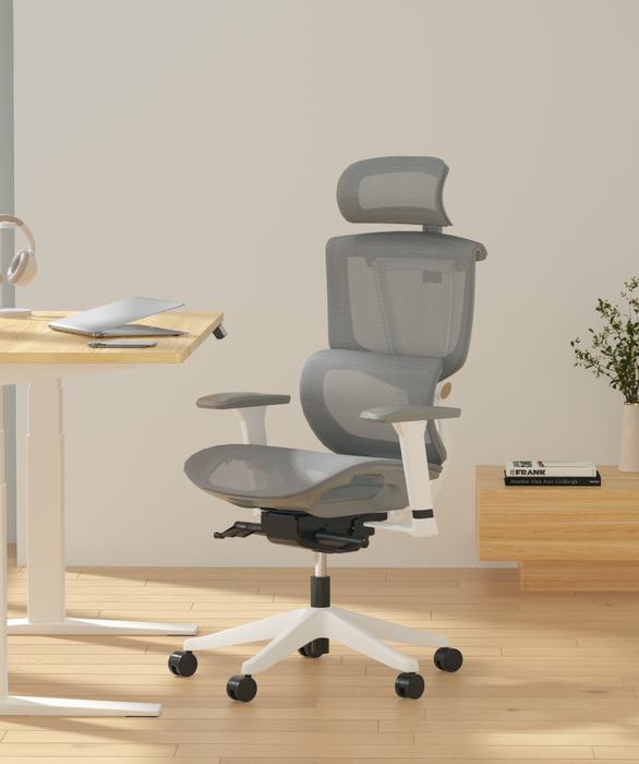 Flexispot C7 Ergonomic Mesh Back Executive Chairs Recliner High Quality Manager Mesh Office Chair