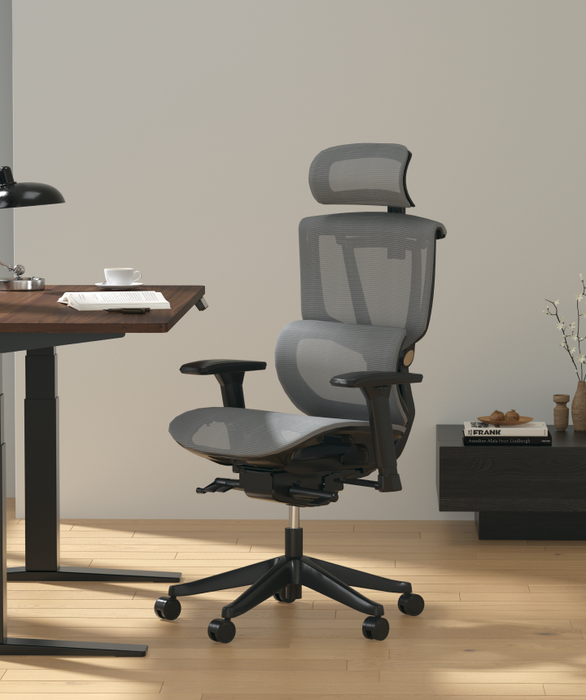 Flexispot C7 Ergonomic Mesh Back Executive Chairs Recliner High Quality Manager Mesh Office Chair