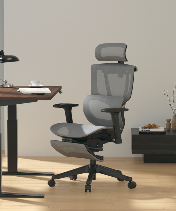 Flexispot C7 Ergonomic Mesh Back Executive Chairs Recliner High Quality Manager Mesh Office Chair