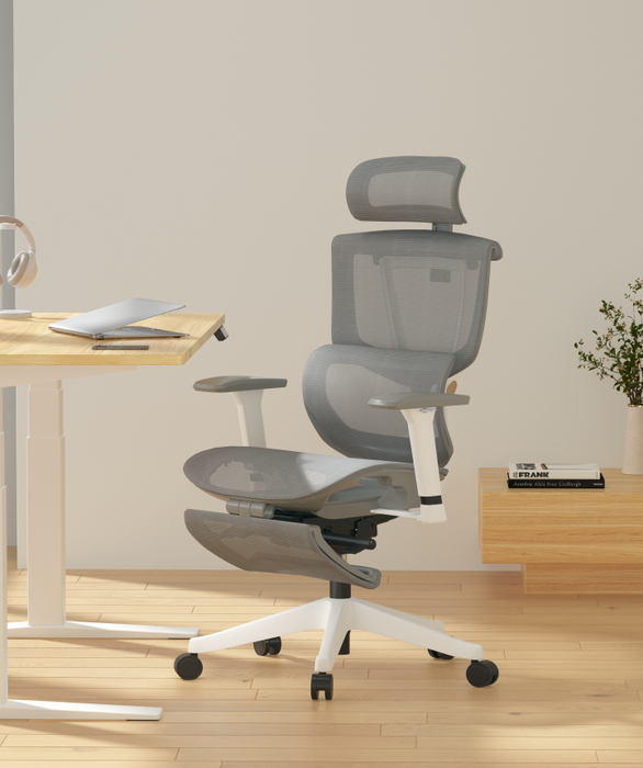 Flexispot C7 Ergonomic Mesh Back Executive Chairs Recliner High Quality Manager Mesh Office Chair