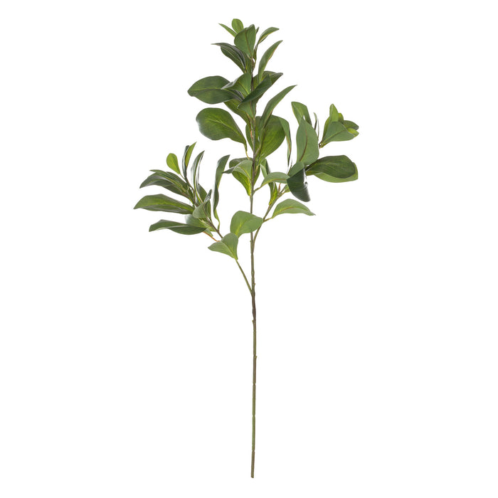 NSIMG-SHA256:d06fd9fa5dd44d25ba9757c0ff9c8f431a65b26dc7782f9a40f73aeff8b78727 · Isalbi Rogue Lush Leaf Spray Green
