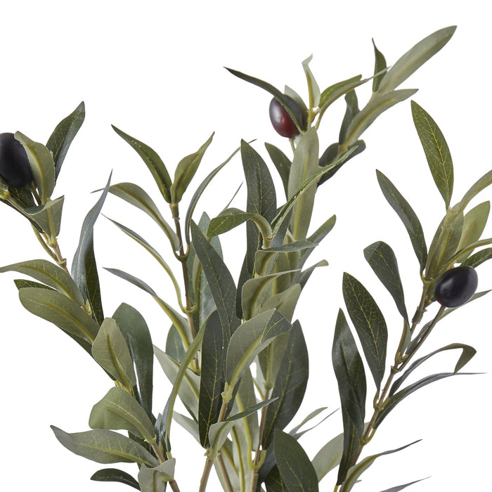 NSIMG-SHA256:81e2cc5bf500eeb5ffa0cdc1a9d4c95bd6c7252633cfc41b97749e52636a7ed8 · Isalbi Rogue Olive Spray Green
