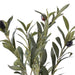 NSIMG-SHA256:81e2cc5bf500eeb5ffa0cdc1a9d4c95bd6c7252633cfc41b97749e52636a7ed8 · Isalbi Rogue Olive Spray Green