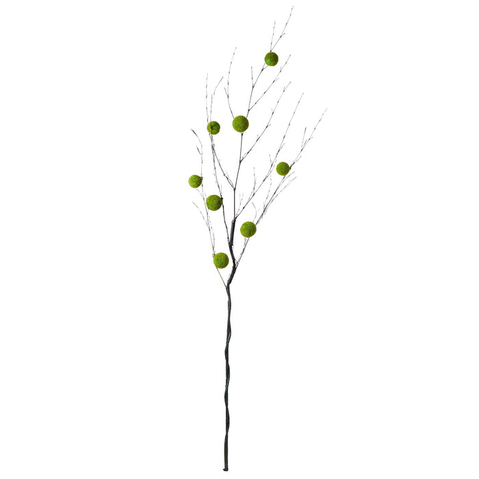 NSIMG-SHA256:fd3dedfbc911673ca3b05e099cc11e9a63dbc5f54a10753547811a9a9deb50cb · Isalbi Rogue Moss Ball Branch Green