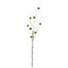 NSIMG-SHA256:fd3dedfbc911673ca3b05e099cc11e9a63dbc5f54a10753547811a9a9deb50cb · Isalbi Rogue Moss Ball Branch Green