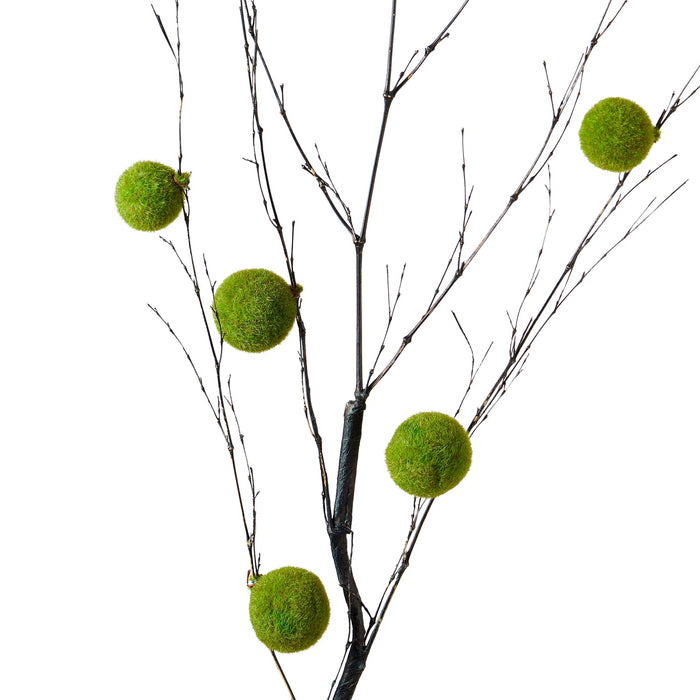 NSIMG-SHA256:24252ed92a26676850eedf74b2e7b13e864fe06d4c88e5bfe6fedd92a2799eae · Isalbi Rogue Moss Ball Branch Green