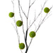 NSIMG-SHA256:24252ed92a26676850eedf74b2e7b13e864fe06d4c88e5bfe6fedd92a2799eae · Isalbi Rogue Moss Ball Branch Green