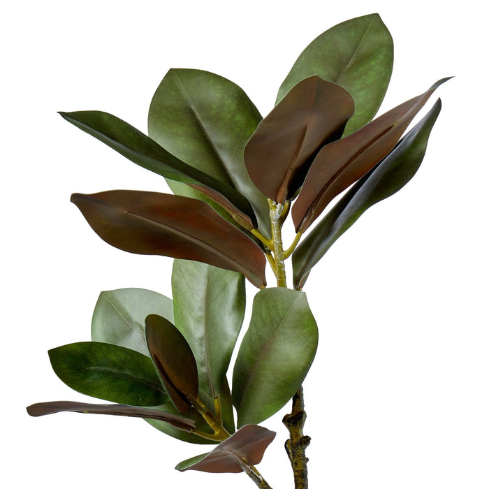 NSIMG-SHA256:6fa6fed58da995805642daa76d09f0d5ee6f8fb0b593402680fe103e345e545f · Isalbi Rogue Magnolia Foliage Green