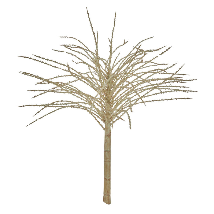 NSIMG-SHA256:3a20e0d469ffd019cc8433c8bb57e4a8338a48e24423e34c9eeecd69d85eb5e8 · Isalbi Rogue Alexander Palm Leaf Spray Cream