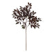 NSIMG-SHA256:c31d34dc7640421052749f4a8977ba6ae9a0c16793d82b8a4c3ac199eec90b98 · Isalbi Rogue Willow Spray Burgundy