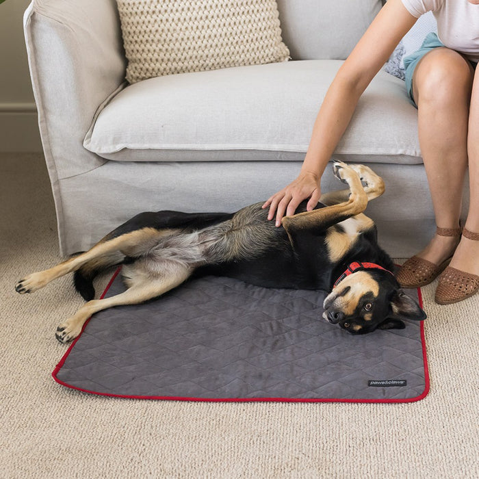 Paws & Claws SELF WARMING PET BLANKET GREY 80X60CM