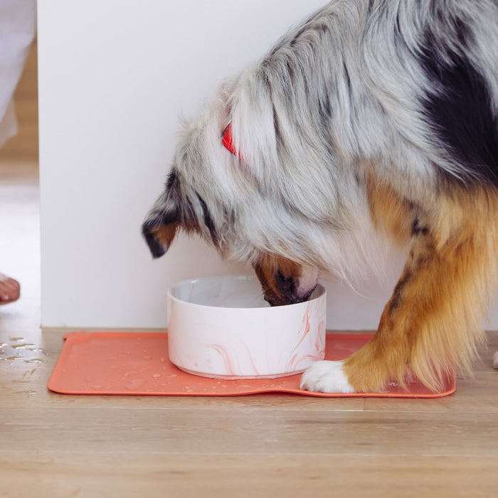 Paws & Claws PET NON-SLIP SILICONE FOOD MAT 49X30CM RECTANGLE