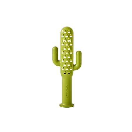 Cactus Cheese Grater