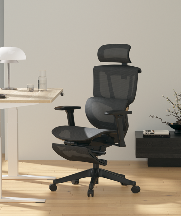 Flexispot C7 Ergonomic Mesh Back Executive Chairs Recliner High Quality Manager Mesh Office Chair