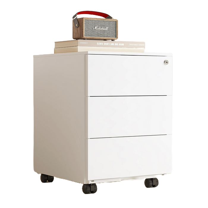 Flexispot RC2 Storage Cabinet: Secure, Smart Storage for Every Space