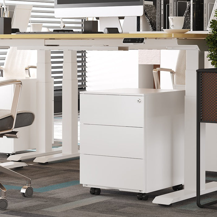 Flexispot RC2 Storage Cabinet: Secure, Smart Storage for Every Space