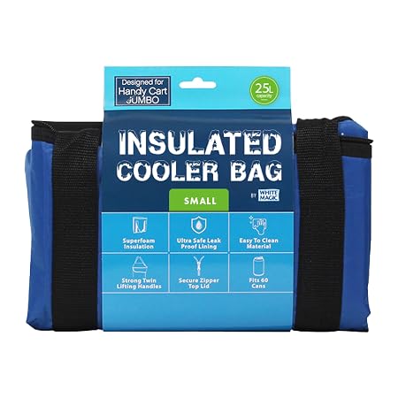 Insulated Cooler Bag Small