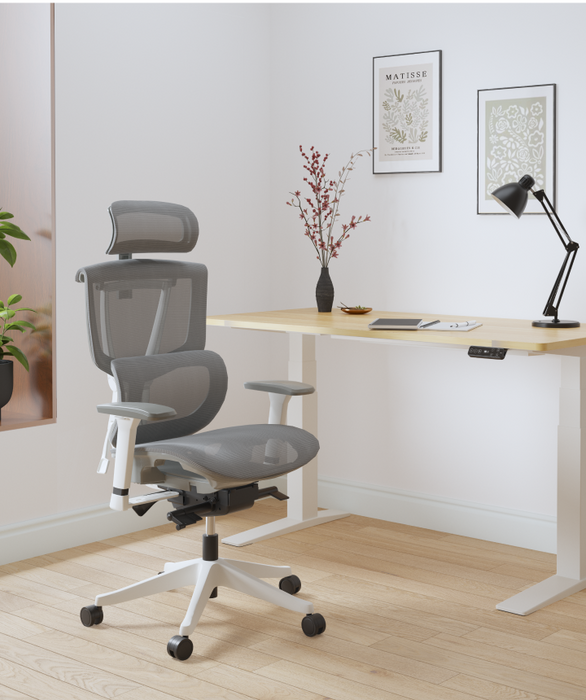 Flexispot C7 Ergonomic Mesh Back Executive Chairs Recliner High Quality Manager Mesh Office Chair