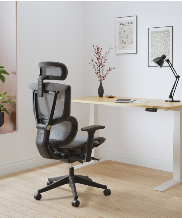 Flexispot C7 Ergonomic Mesh Back Executive Chairs Recliner High Quality Manager Mesh Office Chair