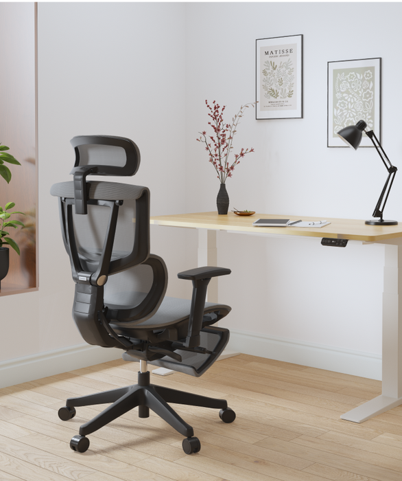 Flexispot C7 Ergonomic Mesh Back Executive Chairs Recliner High Quality Manager Mesh Office Chair