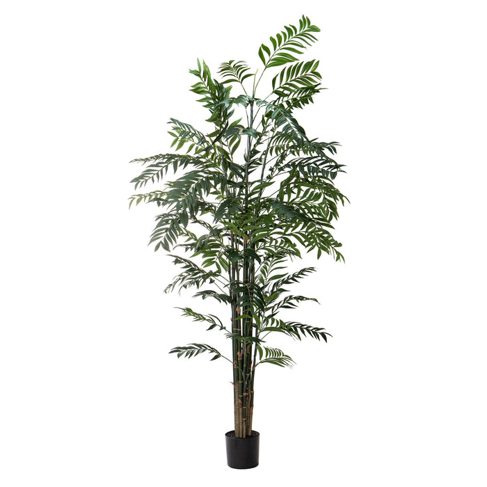 NSIMG-SHA256:ceb06c52de0d18c209fe858e0e070556b6924bdc12e0ab5eb9ca0f57e6c68401 · Isalbi Rogue Deluxe Bamboo Palm Green