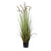 NSIMG-SHA256:f20ebf1afc96cfe94acba602f4dc0fe060f24577be52329b2817e2ff5a0ab809 · Isalbi Rogue Grass Plant Green