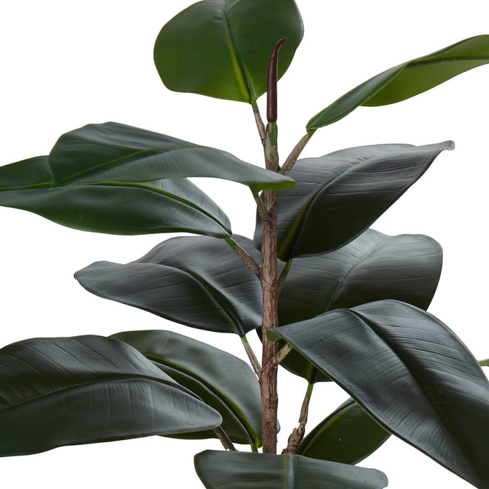 NSIMG-SHA256:aac54b852565dbff563cc86cdb21bd989d7888c53a0cecd9968e97f5f890df61 · Isalbi Rogue Rubber Tree Green